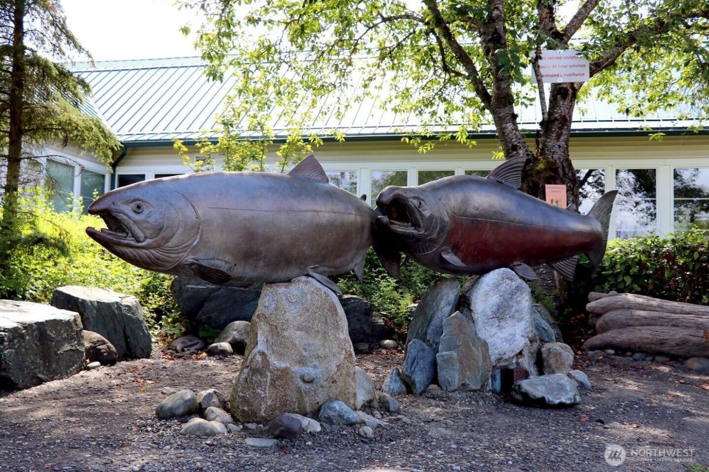 250 NW Dogwood Street #C201, Issaquah, WA 98027