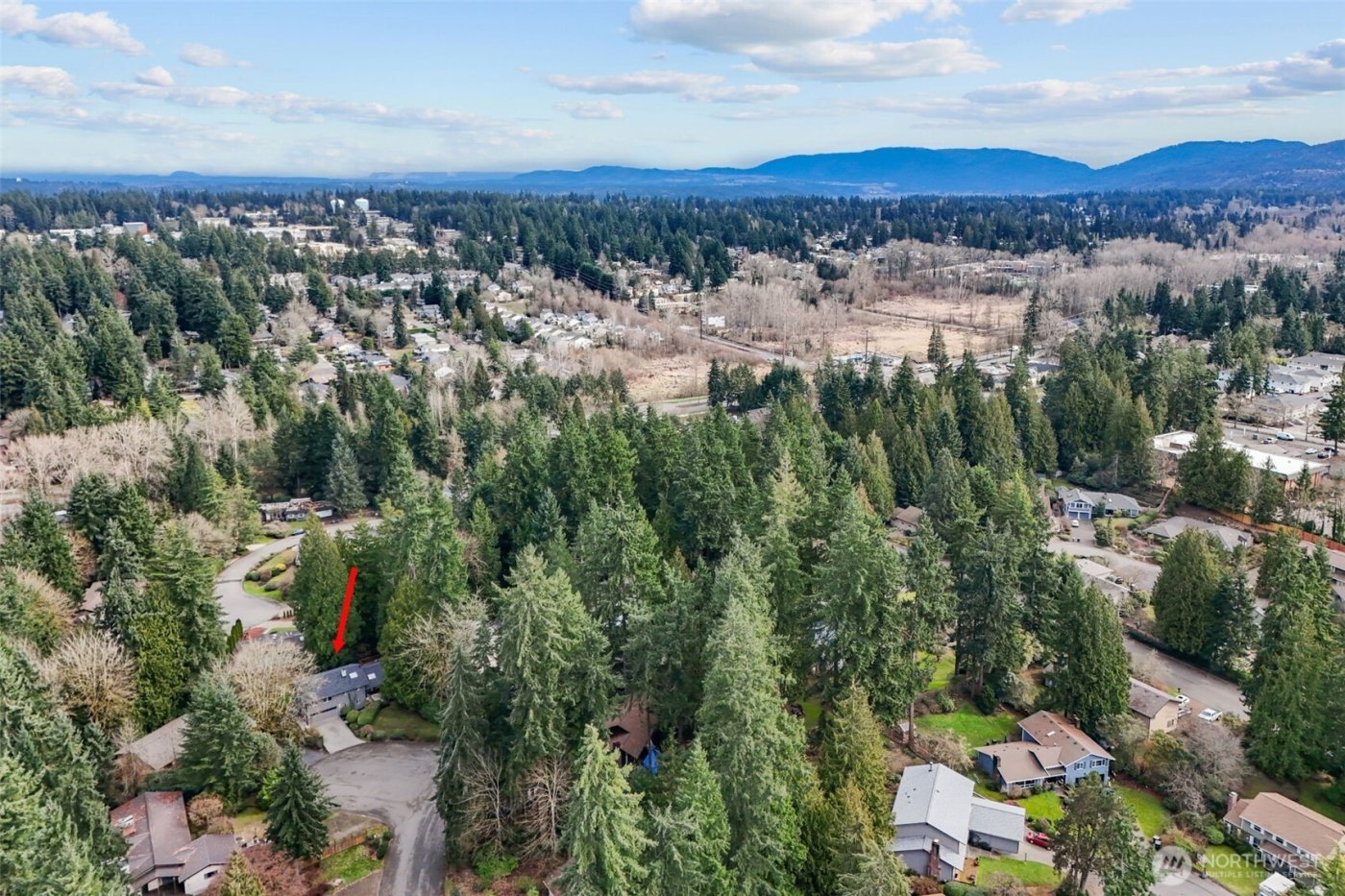 1044 145th Place NE, Bellevue, WA 98007
