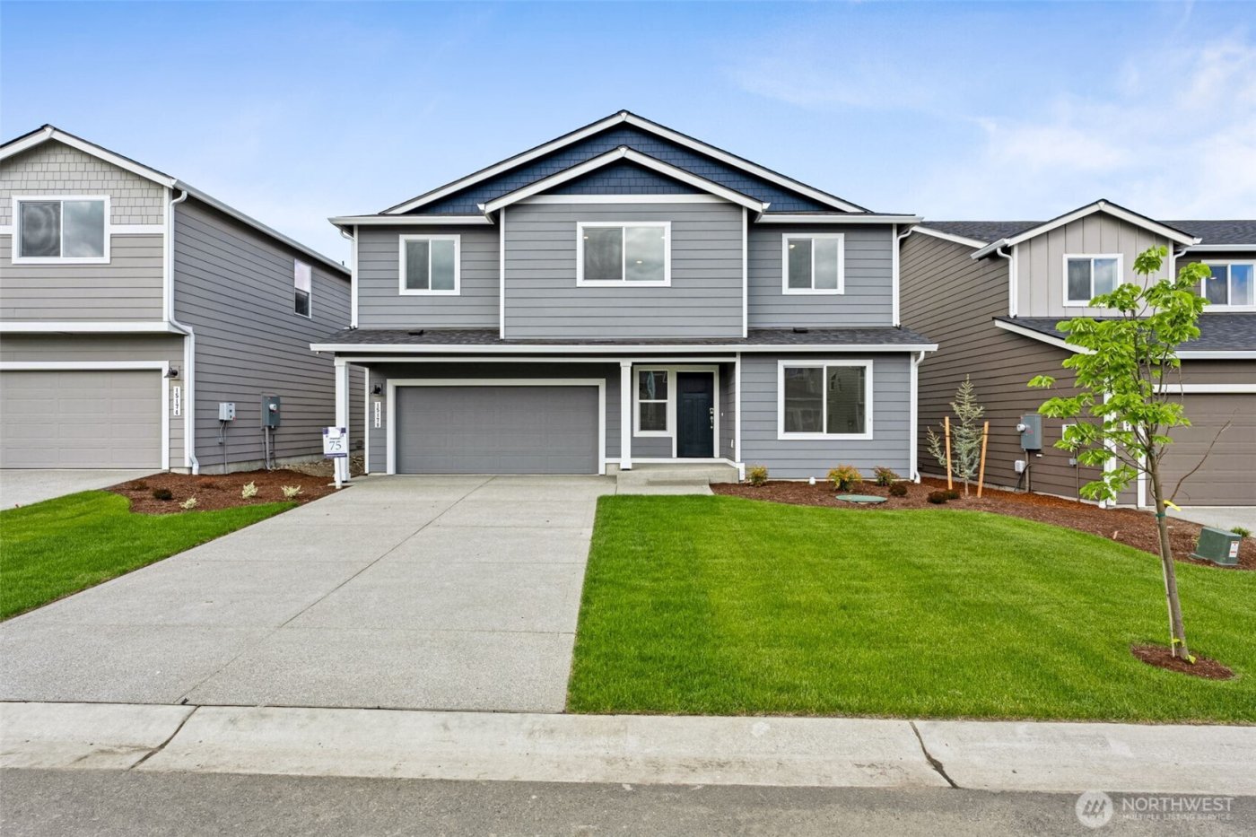16571 Ireland Avenue SE, Yelm, WA 98597