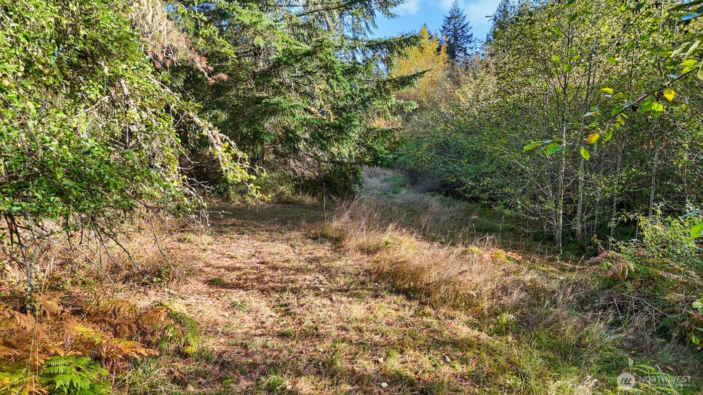 14440 Vantine Road SE, Tenino, WA 98589