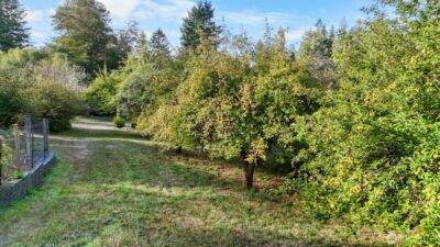 14440 Vantine Road SE, Tenino, WA 98589 - Photo 5