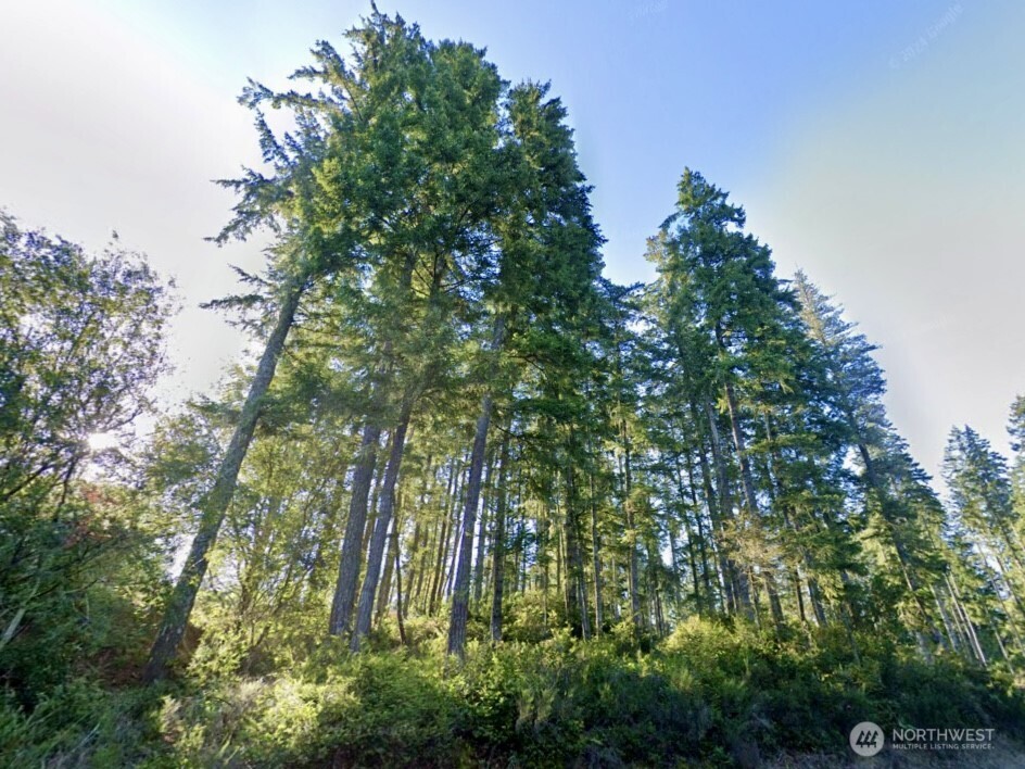 5011 E Rasor Road , Belfair, WA 98528