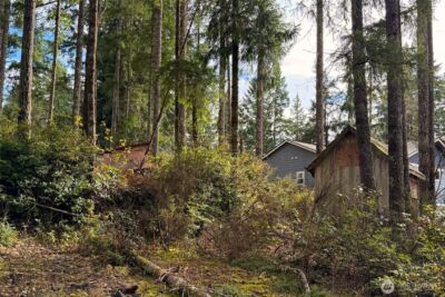5011 E Rasor Road , Belfair, WA 98528 - Photo 23