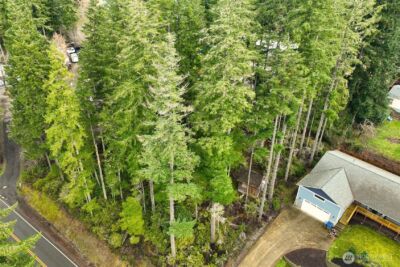5011 E Rasor Road , Belfair, WA 98528 - Photo 25