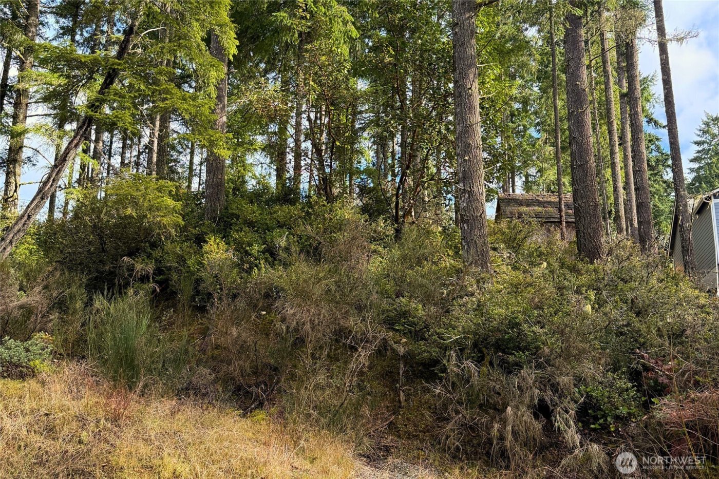 5011 E Rasor Road , Belfair, WA 98528