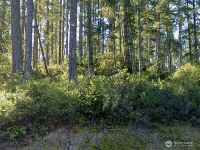 5011 E Rasor Road , Belfair, WA 98528 - Photo 3