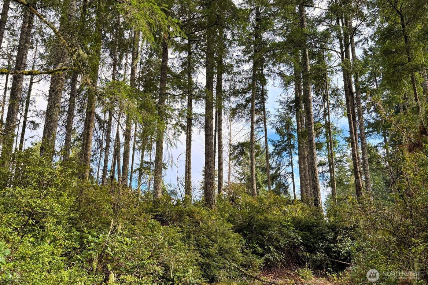 5011 E Rasor Road , Belfair, WA 98528