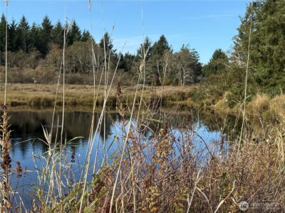 23804 Elm Lane , Ocean Park, WA 98640 - Photo 4