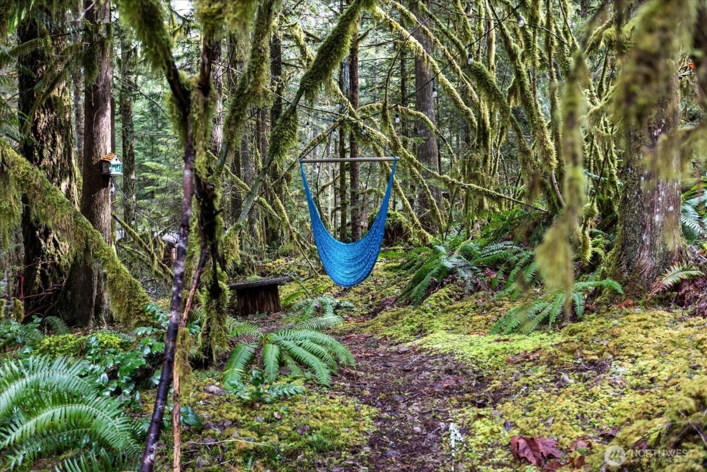 50 3 Schinn Canyon Circle , Deming, WA 98244