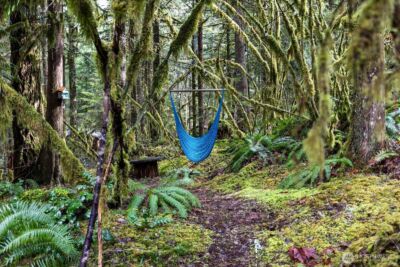 50 3 Schinn Canyon Circle , Deming, WA 98244 - Photo 26