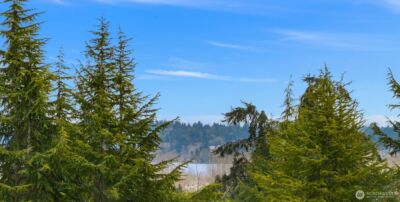 5818 NE 70th Street #A411, Seattle, WA 98115 - Photo 6