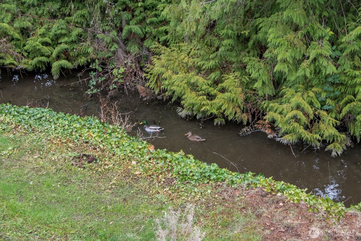 1725 242nd Street SE #203, Bothell, WA 98021