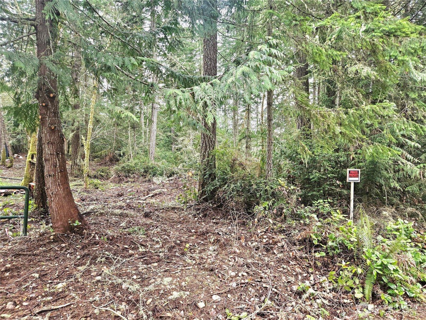 3 NKA W Go Onna Drive , Quilcene, WA 98376