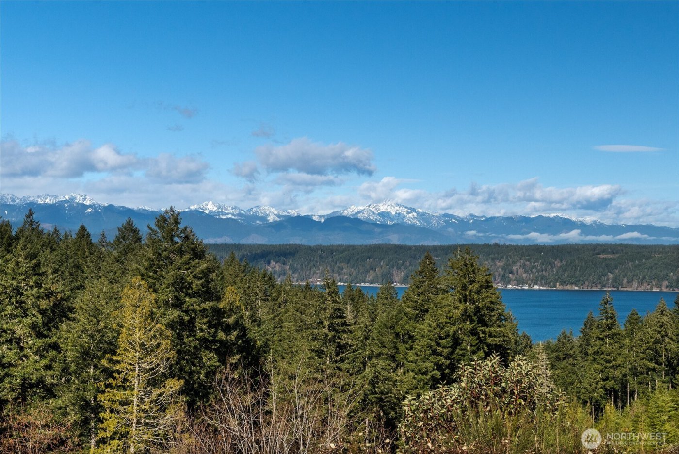 1031 E Manzanita Drive , Union, WA 98592
