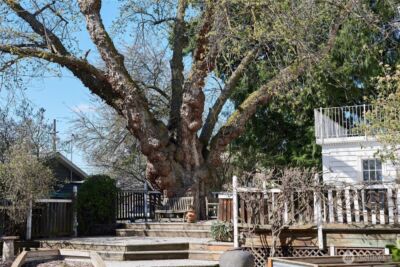 444 Washington Street , Walla Walla, WA 99362 - Photo 37