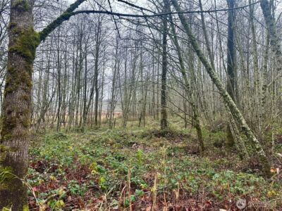 1230 Silverbrook Road , White Pass, WA 98937 - Photo 1