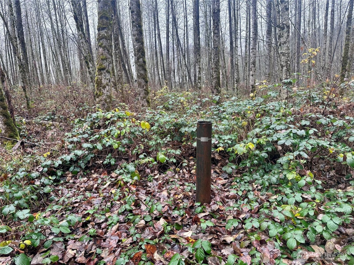 1230 Silverbrook Road , White Pass, WA 98937