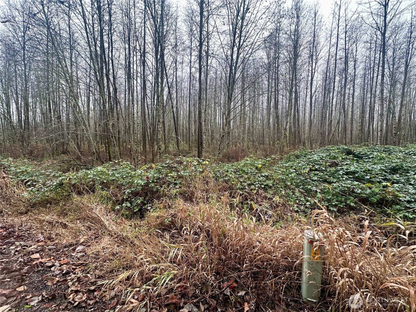 1230 Silverbrook Road , White Pass, WA 98937