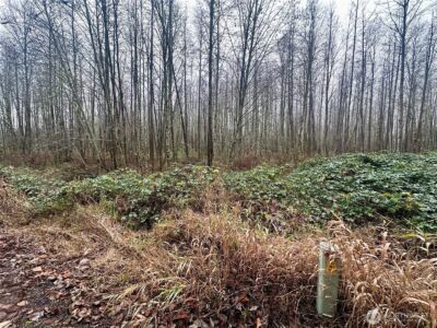 1230 Silverbrook Road , White Pass, WA 98937 - Photo 4