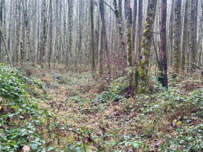 1230 Silverbrook Road , White Pass, WA 98937 - Photo 6