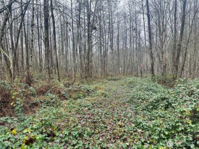 1230 Silverbrook Road , White Pass, WA 98937 - Photo 7