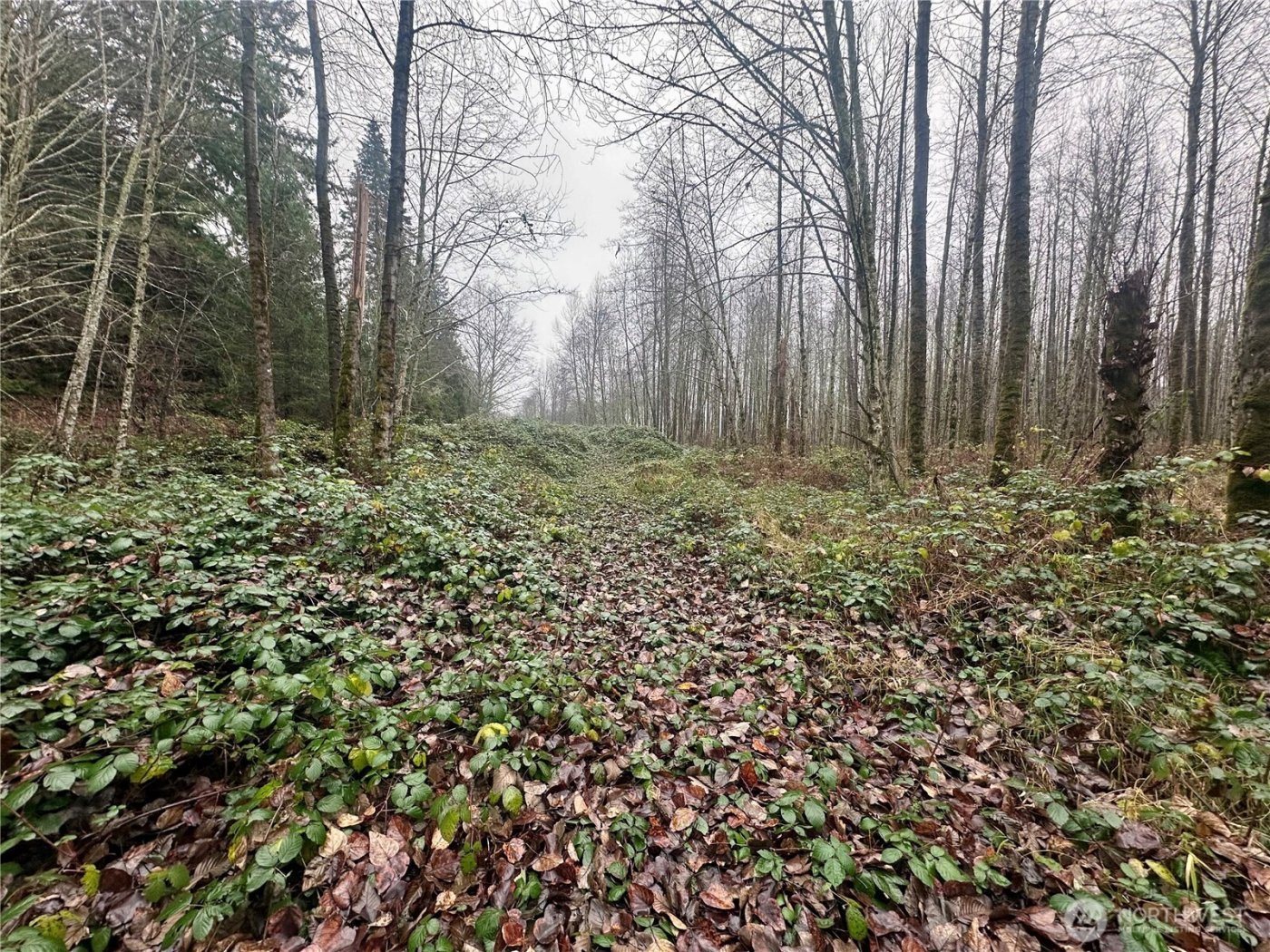 1230 Silverbrook Road , White Pass, WA 98937