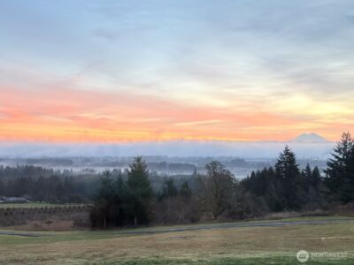 349 Hale Road W, Winlock, WA 98596 - Photo 4