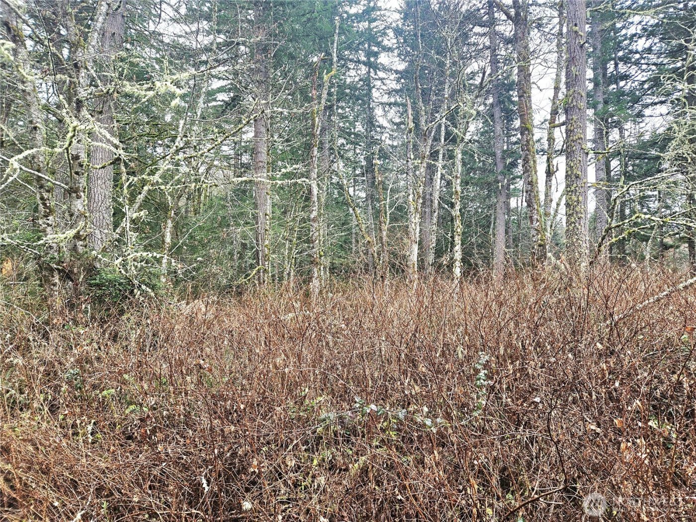 4 NKA W Go Onna Drive , Quilcene, WA 98376