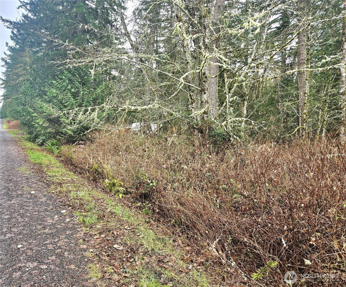 4 NKA W Go Onna Drive , Quilcene, WA 98376