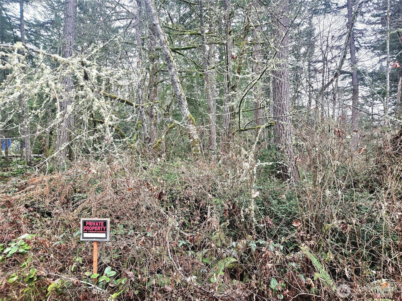 4 NKA W Go Onna Drive , Quilcene, WA 98376