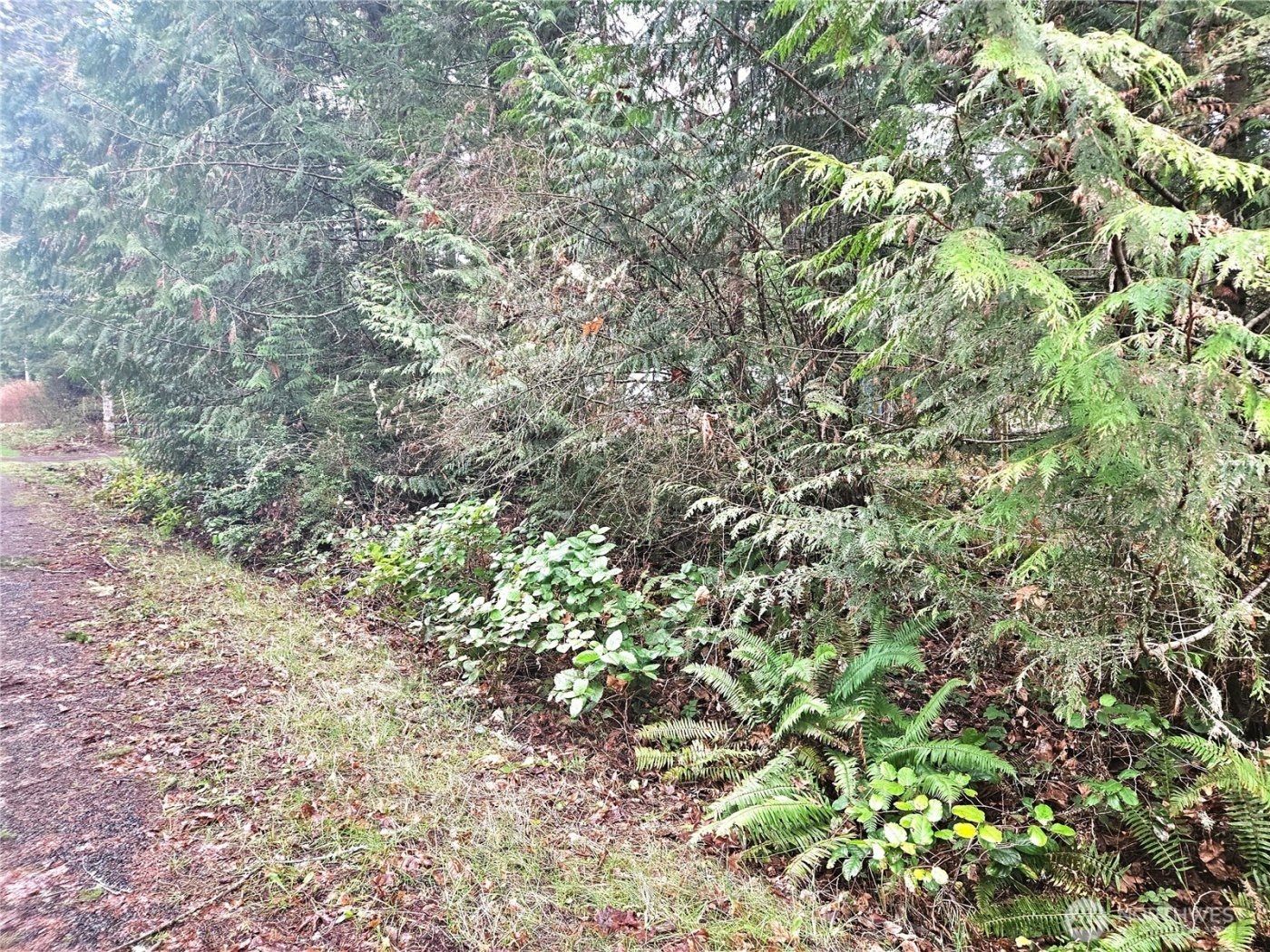 4 NKA W Go Onna Drive , Quilcene, WA 98376
