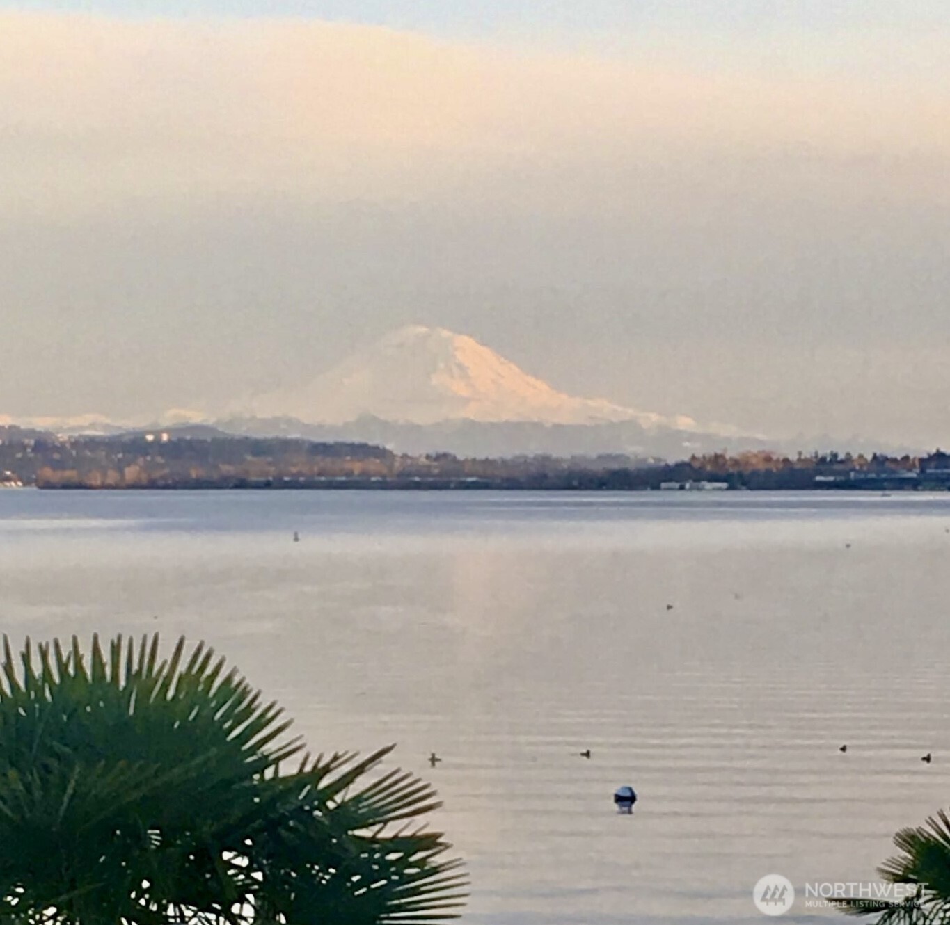 14026 Riviera Place NE, Seattle, WA 98125