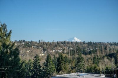 3070 SW Avalon Way #A, Seattle, WA 98126 - Photo 30