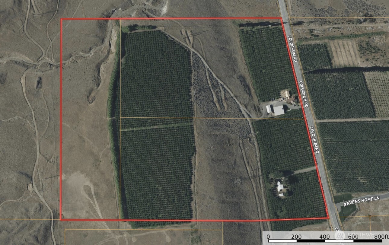 5814 Colockum Road , Malaga, WA 98828
