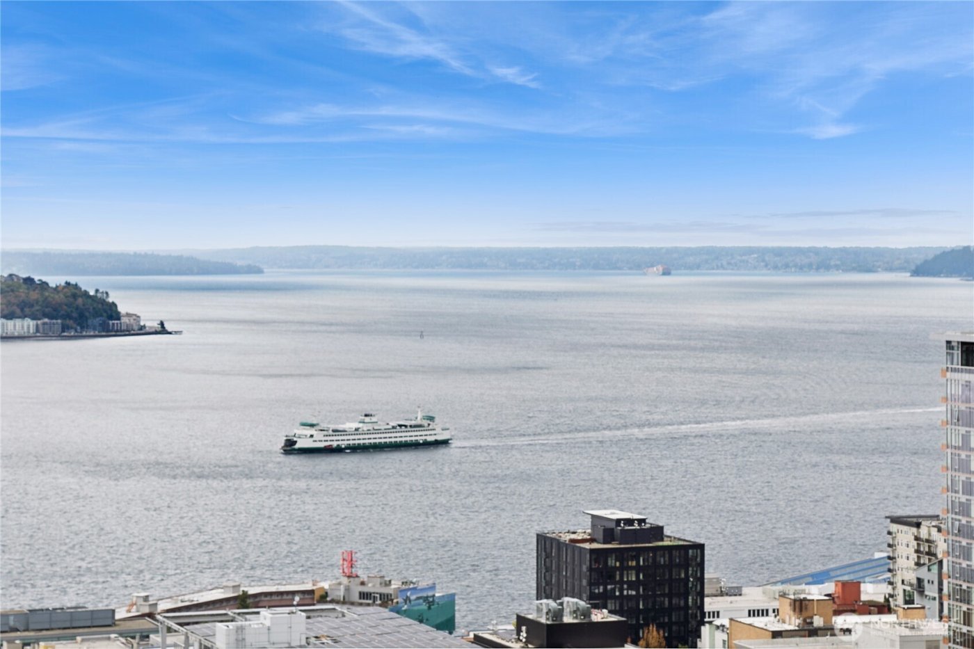 588 Bell Street #2902S, Seattle, WA 98121