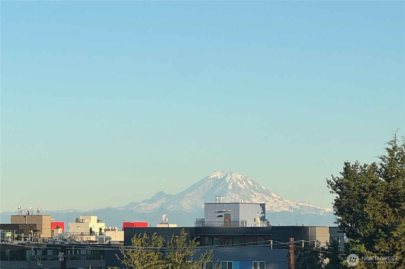 2014 E Pine Street #B, Seattle, WA 98122