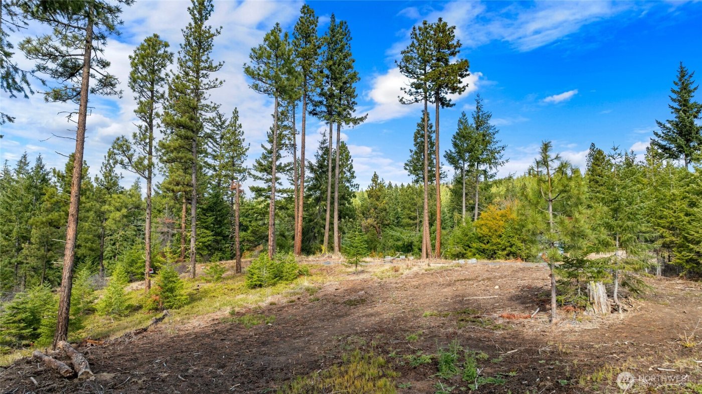 39 Forest Ridge Drive , Cle Elum, WA 98922