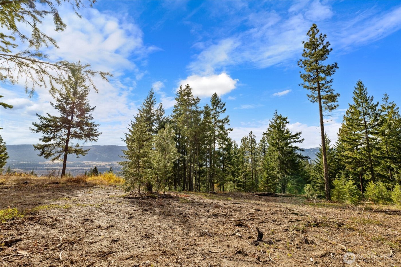 39 Forest Ridge Drive , Cle Elum, WA 98922