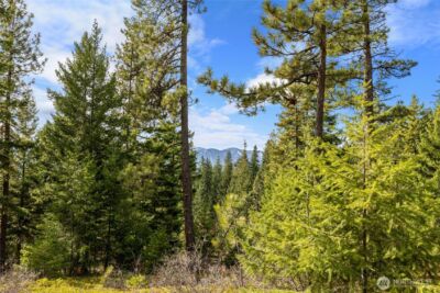 39 Forest Ridge Drive , Cle Elum, WA 98922 - Photo 16