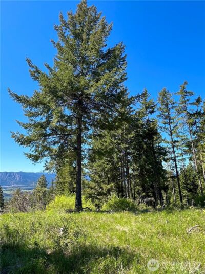 39 Forest Ridge Drive , Cle Elum, WA 98922 - Photo 18