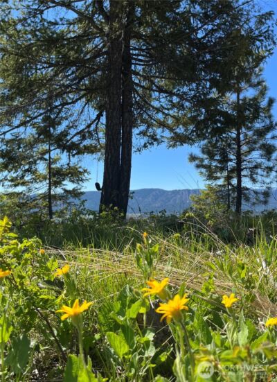 39 Forest Ridge Drive , Cle Elum, WA 98922 - Photo 19