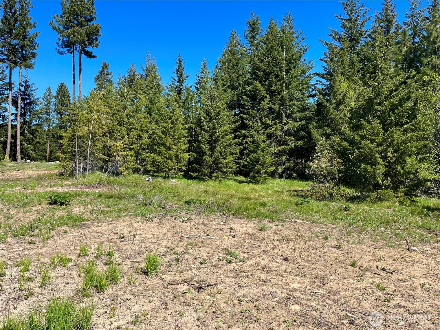 39 Forest Ridge Drive , Cle Elum, WA 98922