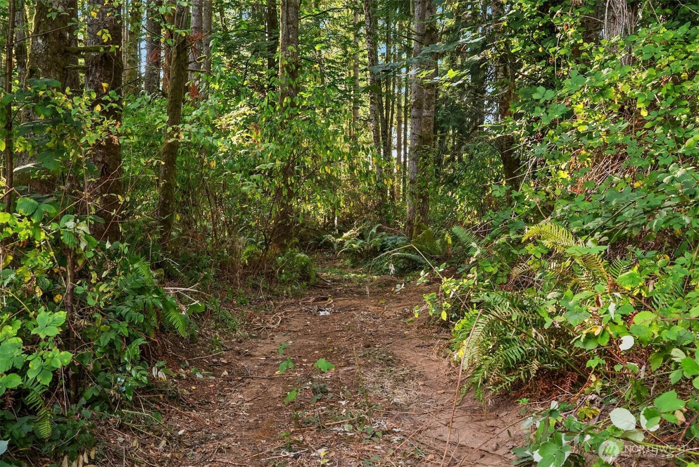 14728 58th Avenue NW, Stanwood, WA 98292