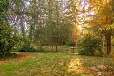 3917 240th Street E, Spanaway, WA 98387-7012 - Photo 34