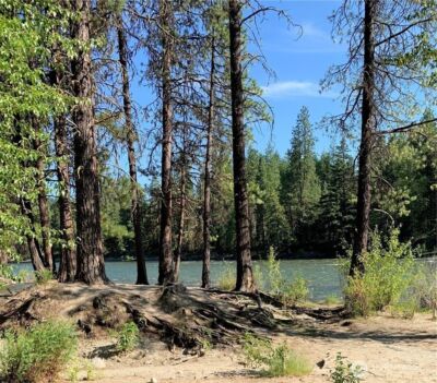 25813 Bridle Lane , Leavenworth, WA 98826 - Photo 27