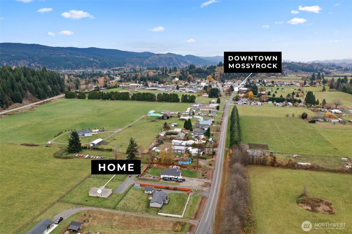 208 Mossyrock Rd West , Mossyrock, WA 98564