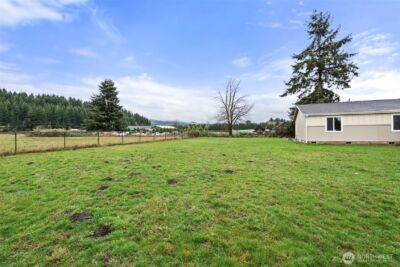 204 Mossyrock Rd West , Mossyrock, WA 98564 - Photo 35