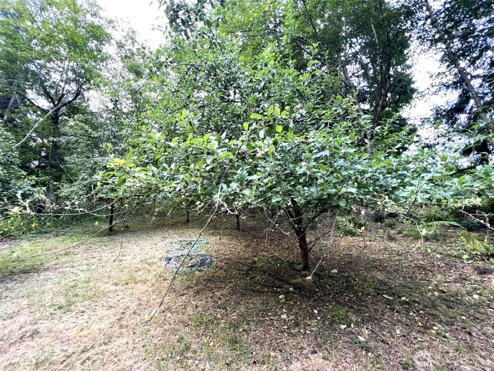 3910 E Harstine Island Road S, Shelton, WA 98584