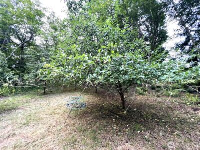 3910 E Harstine Island Road S, Shelton, WA 98584 - Photo 35