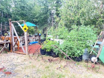 3910 E Harstine Island Road S, Shelton, WA 98584 - Photo 36